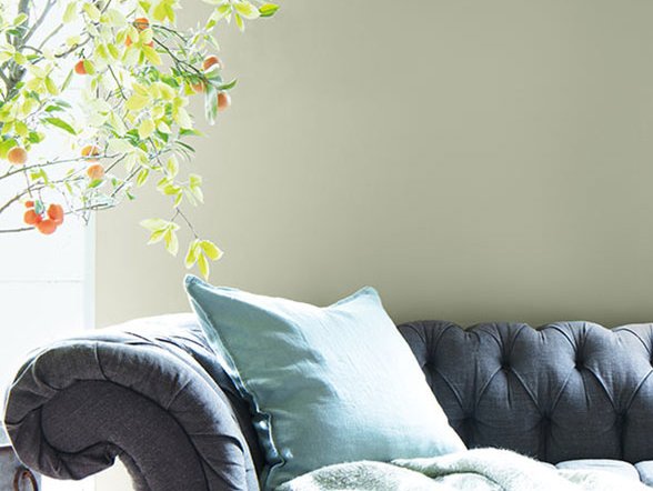 Benjamin Moore Paints