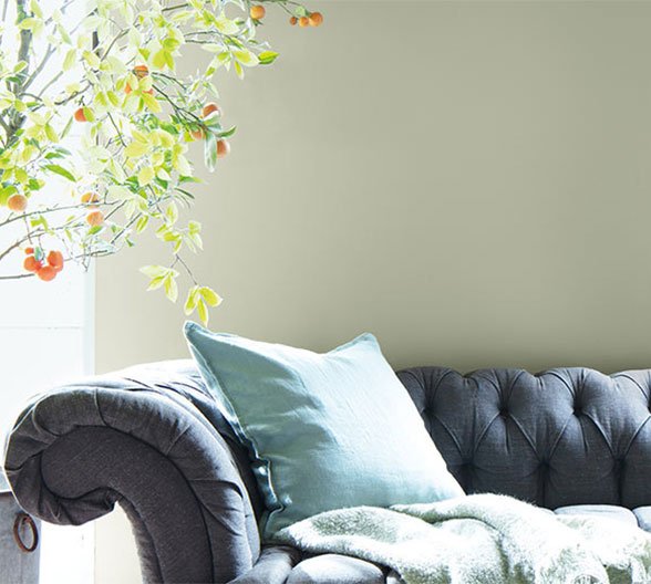 Benjamin Moore Paints